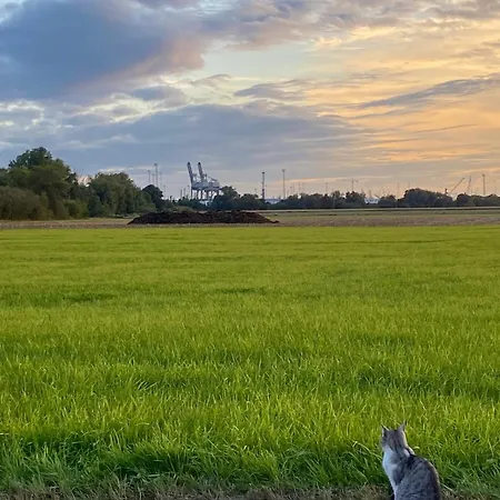 Hvn10 - Near Antwerp